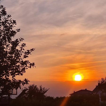 Ferienwohnung Haus Finkbeiner Kniebis Kültér fotó