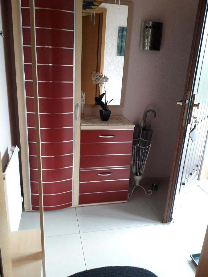 Ferienwohnung Haus Finkbeiner Kniebis Kültér fotó